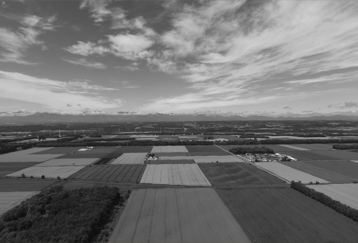 上空から見た広大な畑の風景